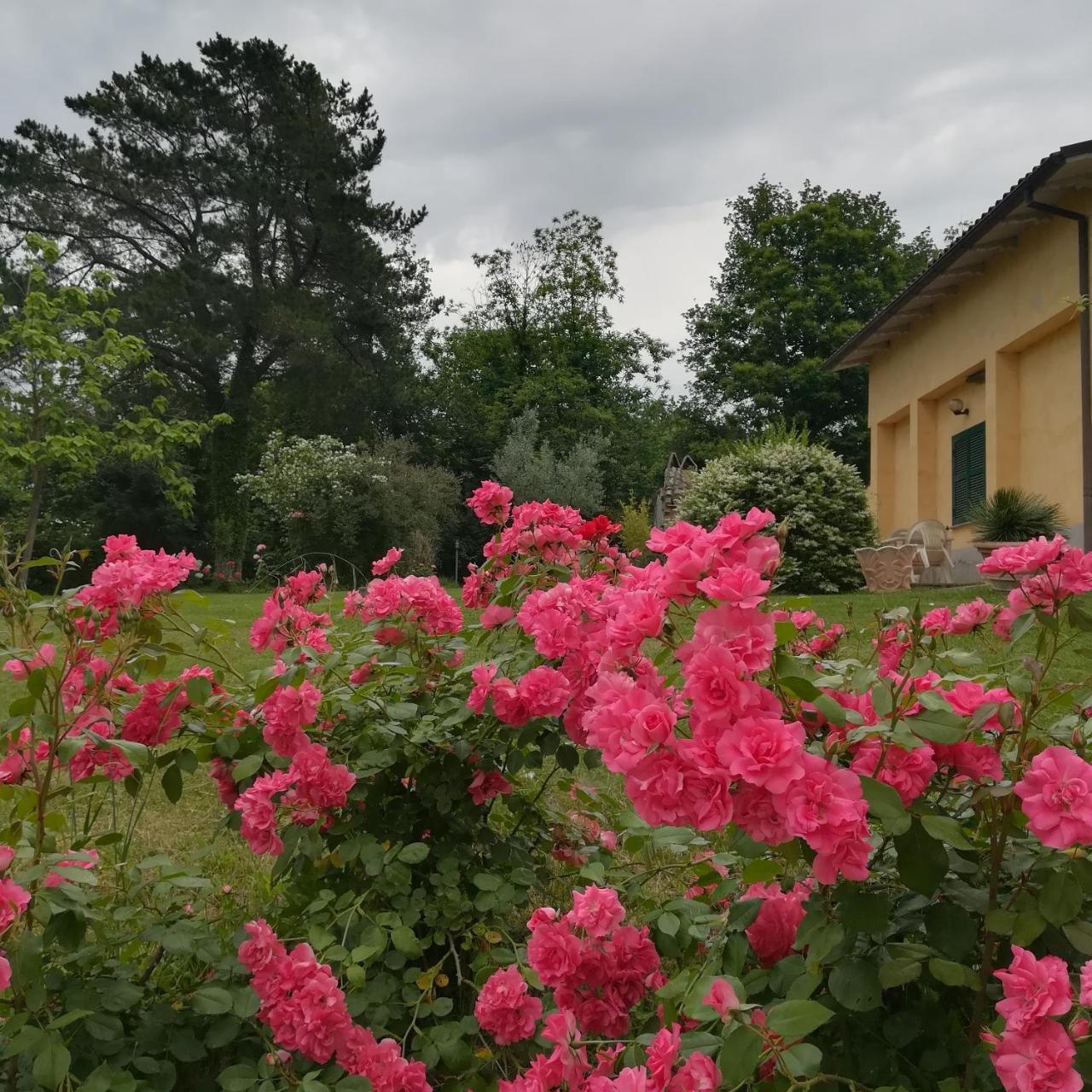 Agriturismo Santa Maria マルタ エクステリア 写真